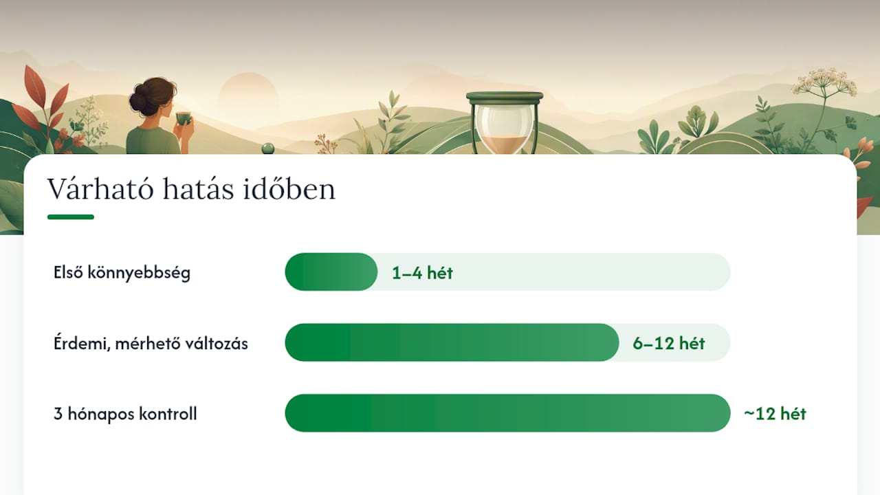 Kezdje 3 hónappal: gyógynövény tea kúra hossza nőgyógyászati panaszokra Mikor várható eredmény, és mit érdemes mérni? — overview diagram