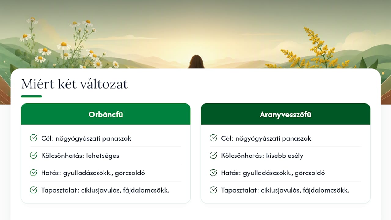 Orbáncfűt elkerülőknek: napi 2–3 csésze kamilla vagy aranyvesszőfű 6 hétig A két változat mögötti gondolat: miért kínál a Hölgyi tea orbáncfűmentes opciót is — overview diagram